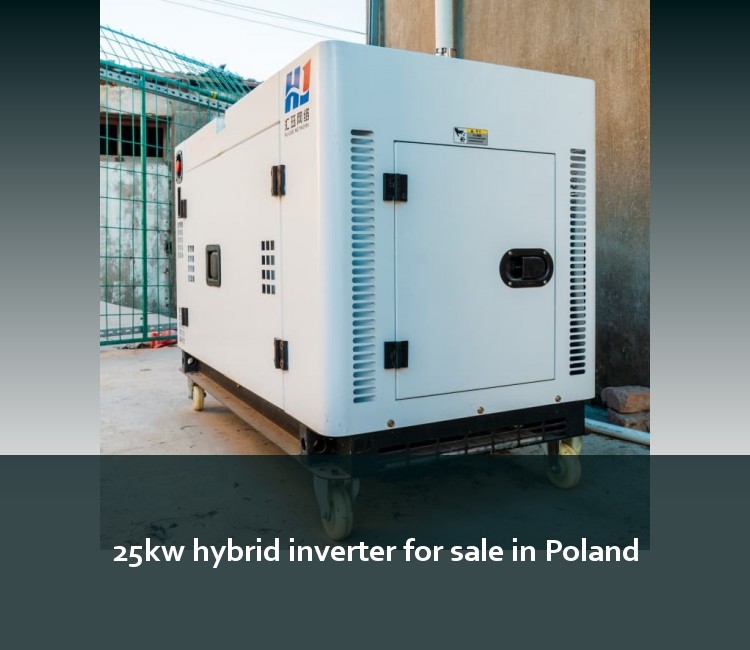 25kw hybrid inverter for sale in Poland