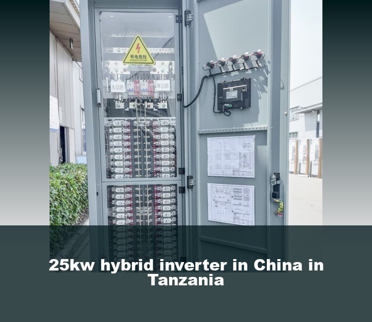 25kw hybrid inverter in China in Tanzania