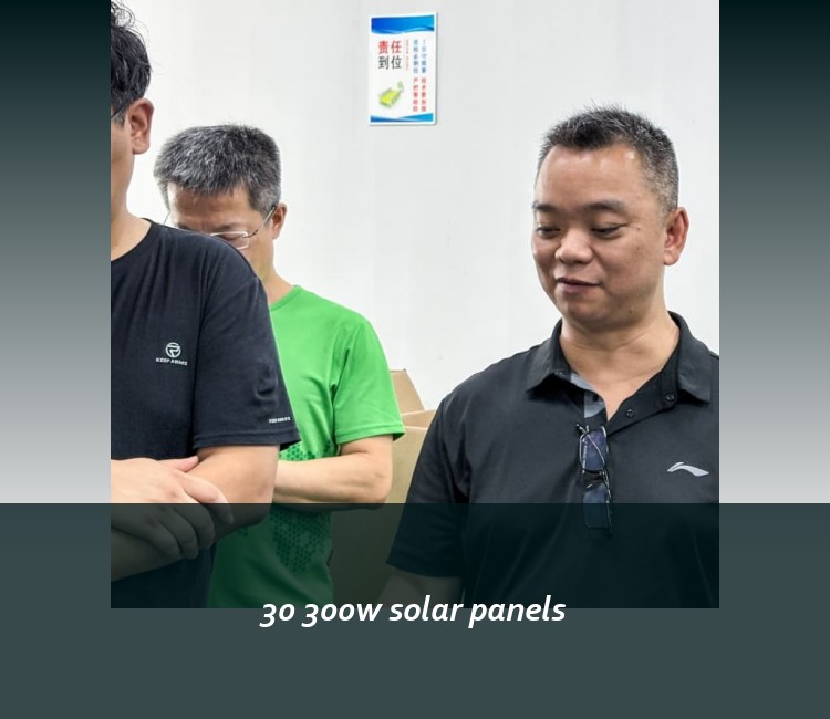 30 300w solar panels