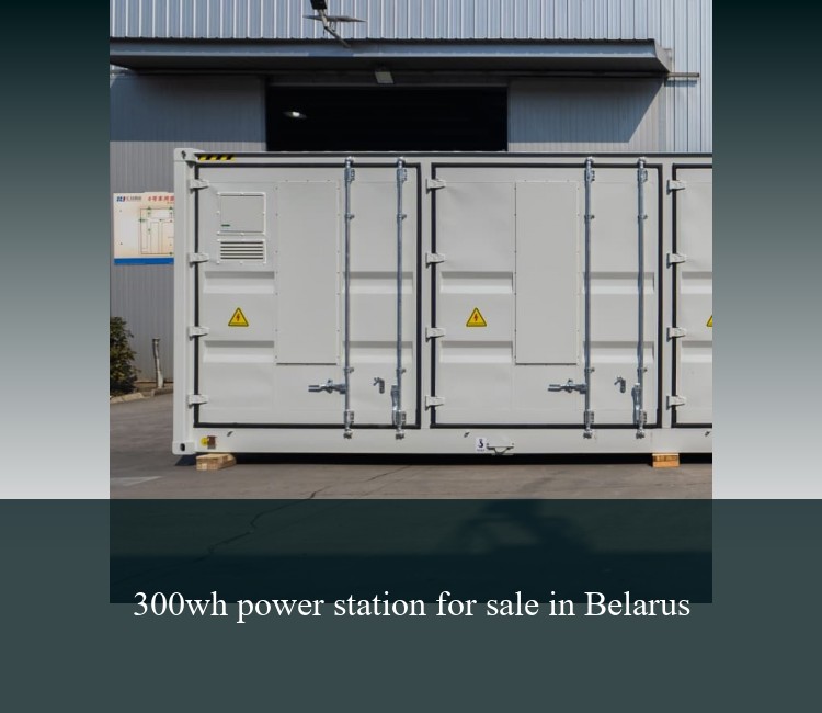 300wh power station for sale in Belarus