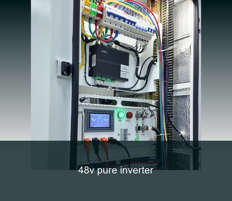 48v pure inverter