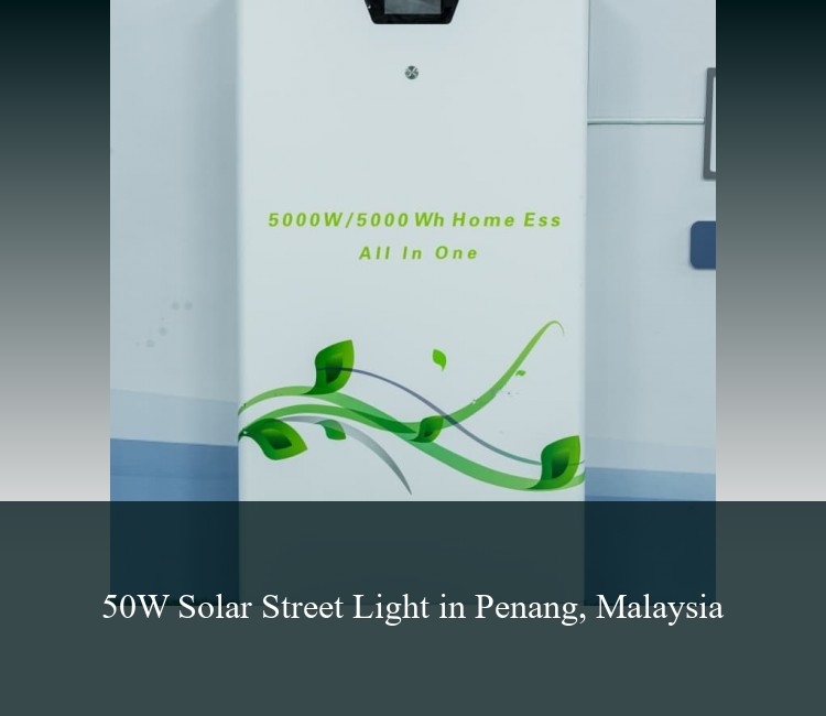 50W Solar Street Light in Penang, Malaysia