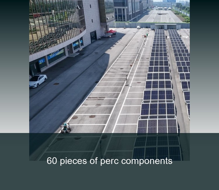60 pieces of perc components