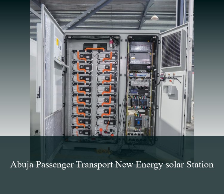 Abuja Passenger Transport New Energy solar Station