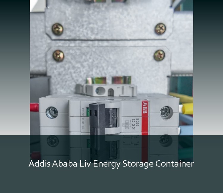 Addis Ababa Liv Energy Storage Container