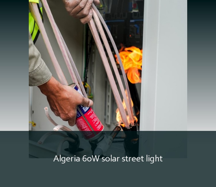 Algeria 60W solar street light