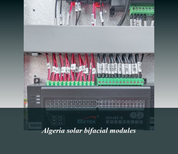 Algeria solar bifacial modules