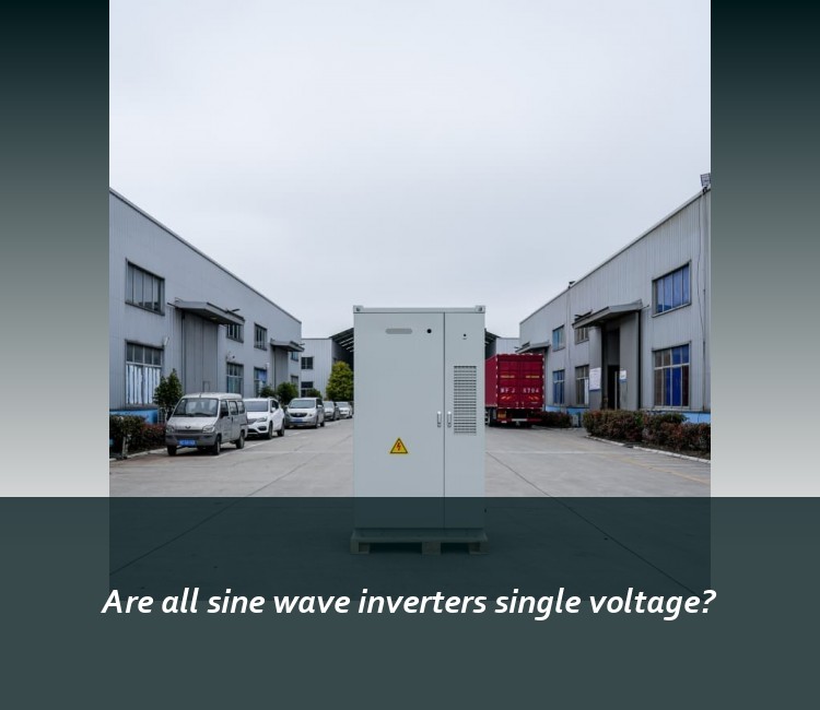 Are all sine wave inverters single voltage?
