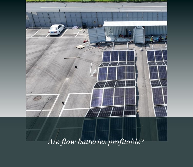 Are flow batteries profitable?