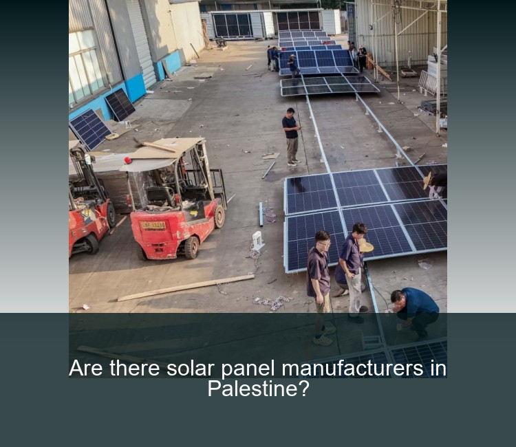 Are there solar panel manufacturers in Palestine?
