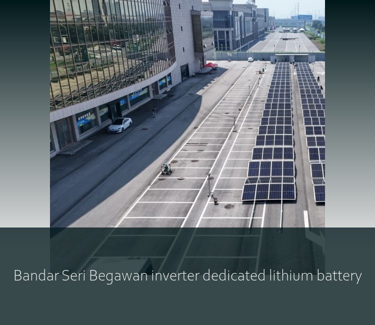 Bandar Seri Begawan inverter dedicated lithium battery