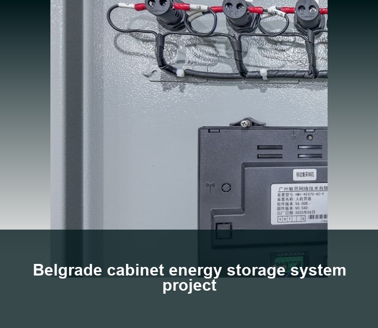 Belgrade cabinet energy storage system project