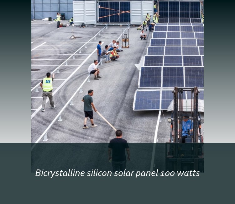 Bicrystalline silicon solar panel 100 watts