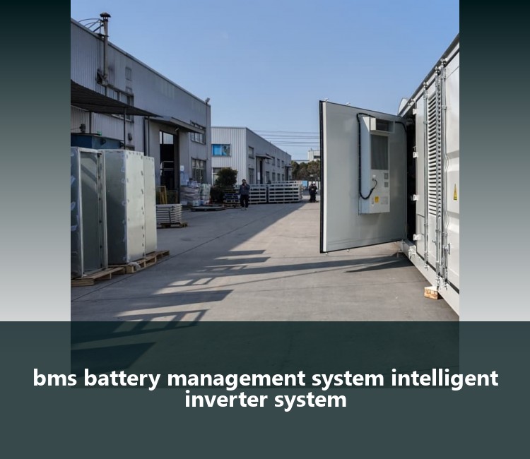 bms battery management system intelligent inverter system