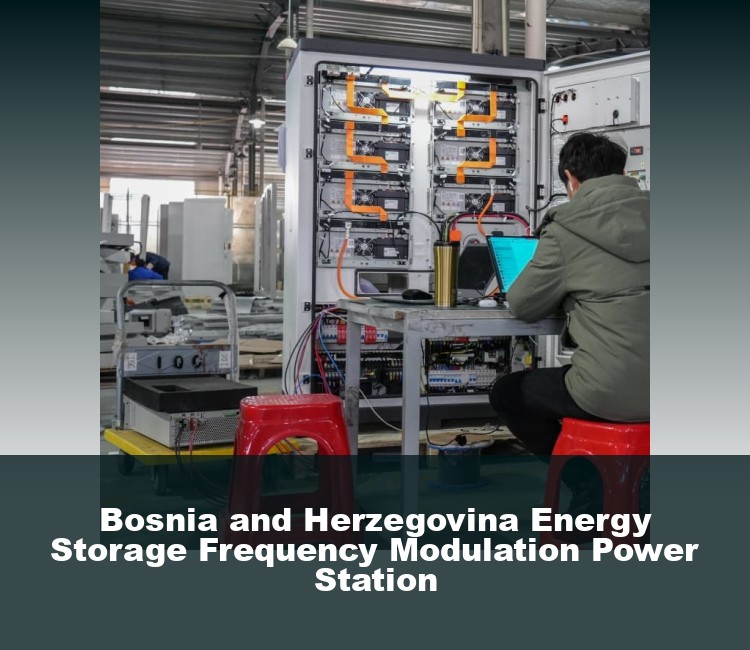 Bosnia and Herzegovina Energy Storage Frequency Modulation Power Station