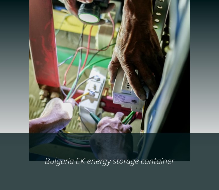 Bulgaria EK energy storage container