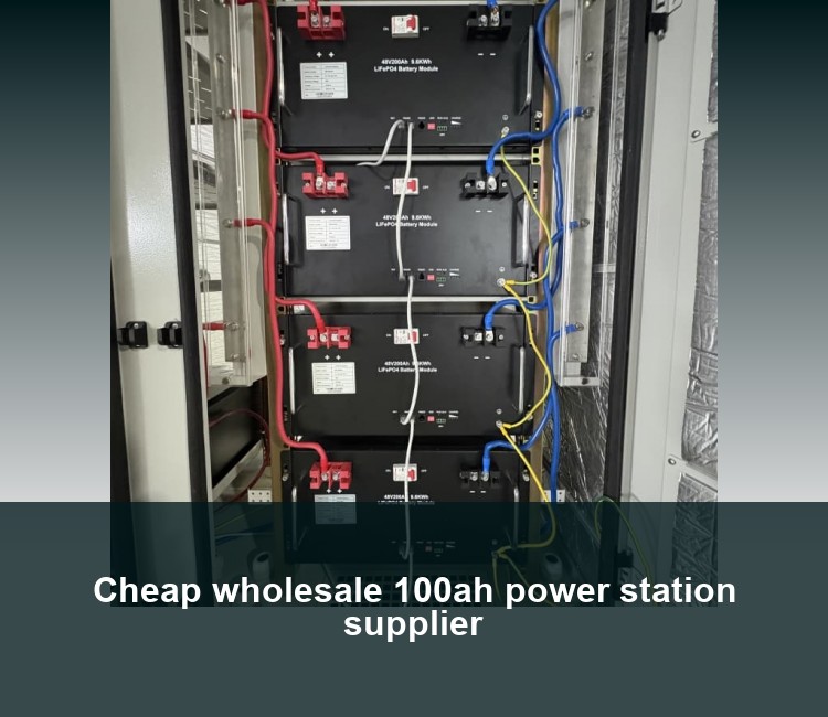 Cheap wholesale 100ah power station supplier