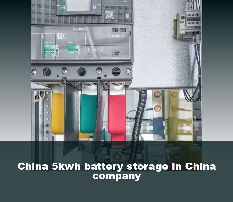 China 5kwh battery storage in China company