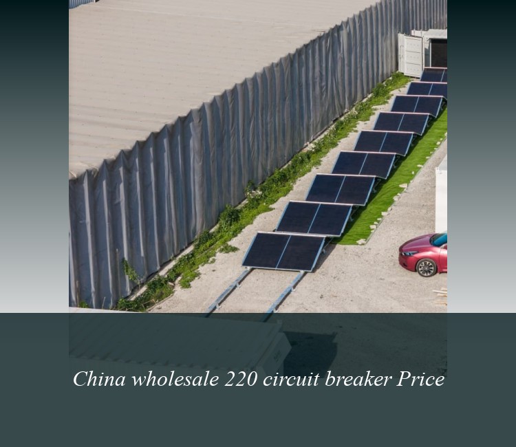 China wholesale 220 circuit breaker Price