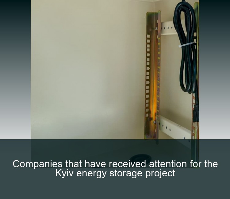Companies that have received attention for the Kyiv energy storage project