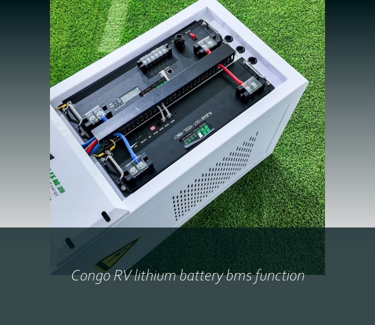 Congo RV lithium battery bms function