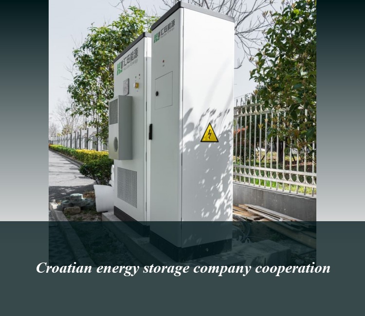 Croatian energy storage company cooperation