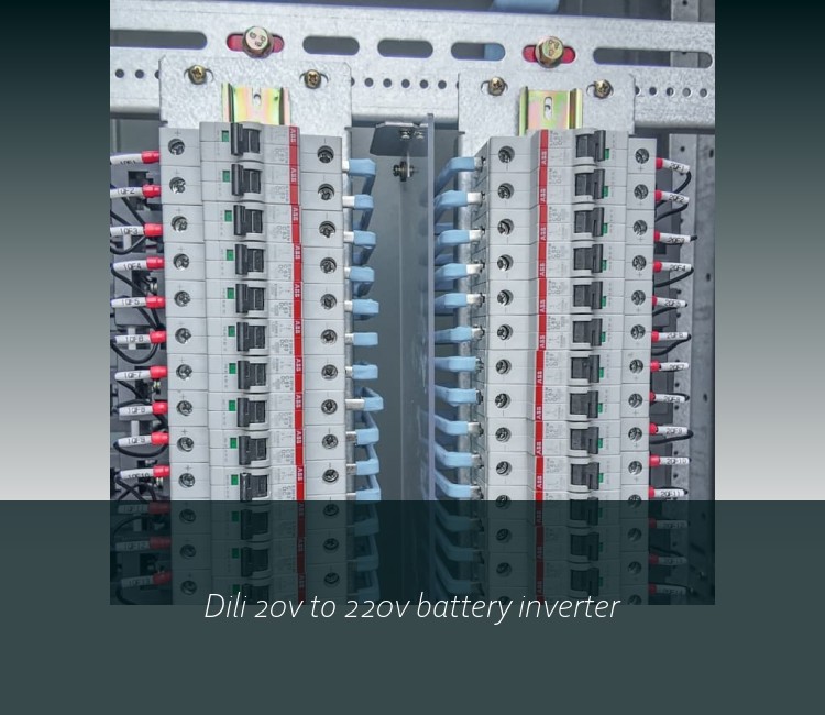 Dili 20v to 220v battery inverter
