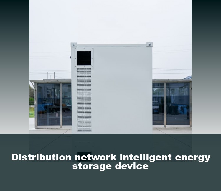 Distribution network intelligent energy storage device