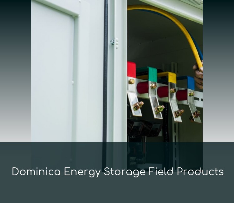 Dominica Energy Storage Field Products