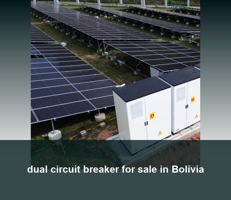 dual circuit breaker for sale in Bolivia