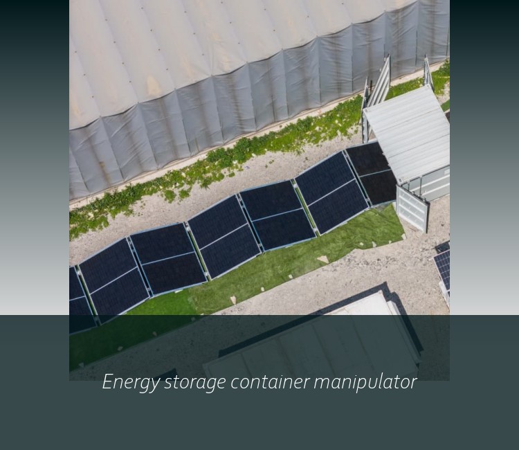 Energy storage container manipulator