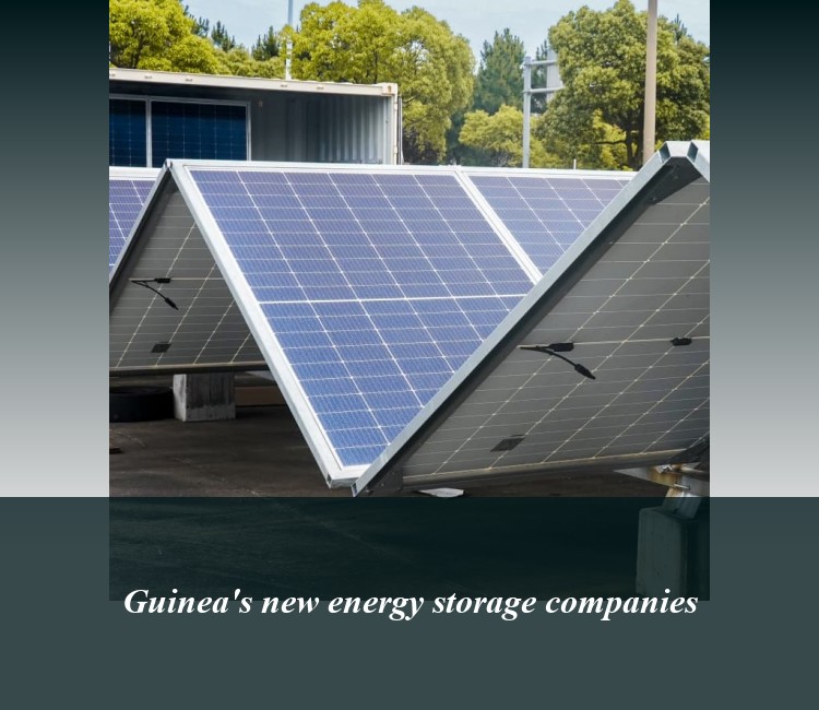 Guinea's new energy storage companies