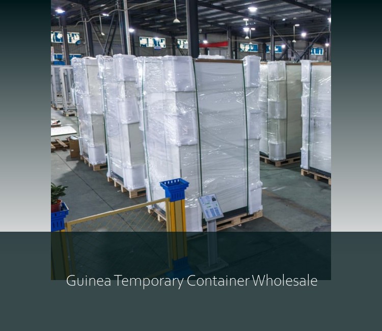 Guinea Temporary Container Wholesale
