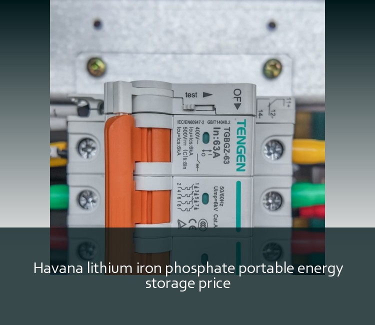 Havana lithium iron phosphate portable energy storage price
