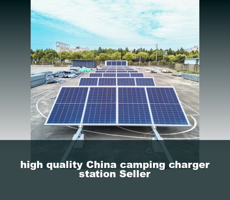 high quality China camping charger station Seller