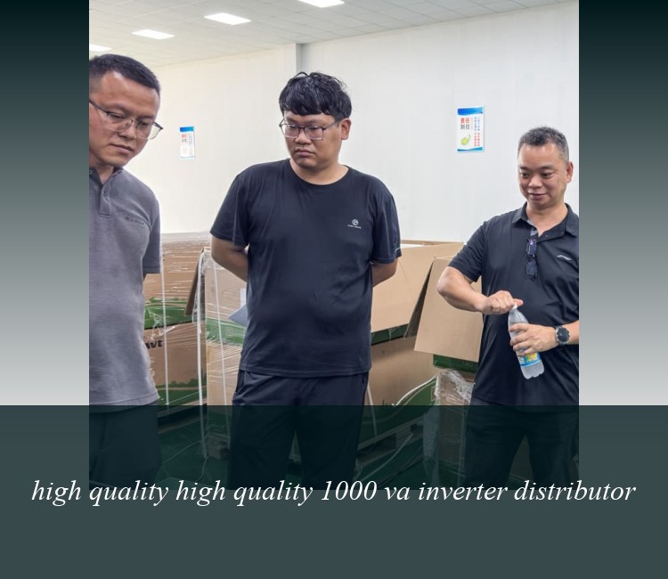 high quality high quality 1000 va inverter distributor