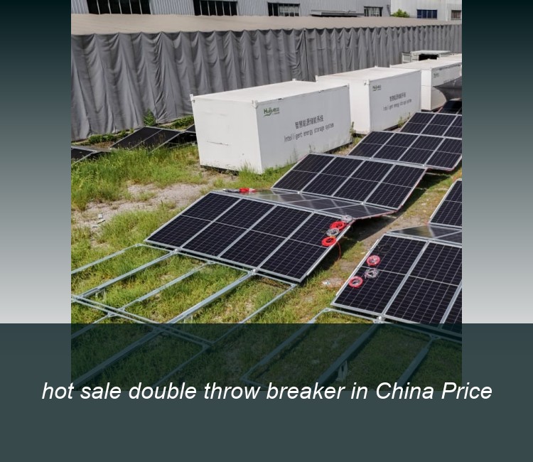hot sale double throw breaker in China Price