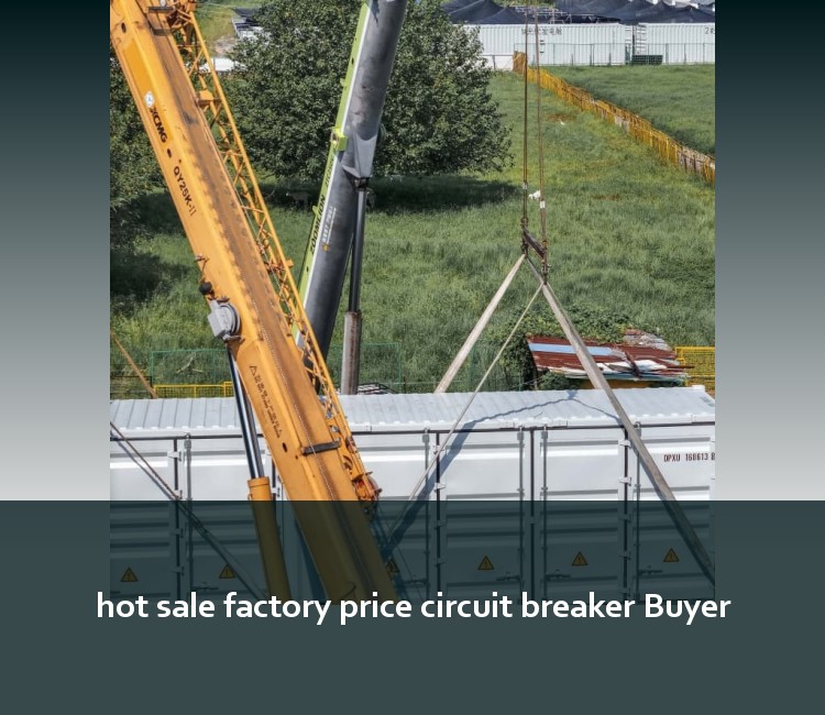 hot sale factory price circuit breaker Buyer