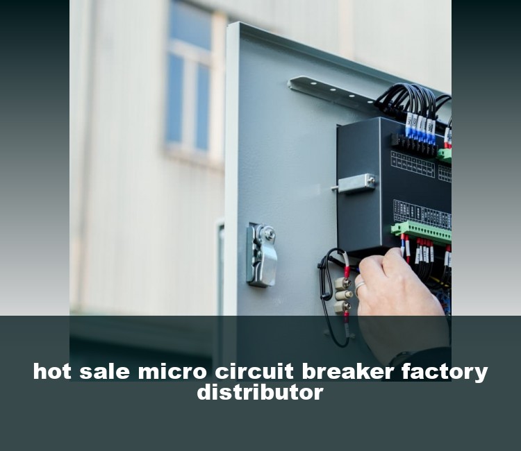 hot sale micro circuit breaker factory distributor