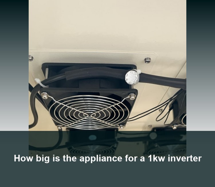 How big is the appliance for a 1kw inverter