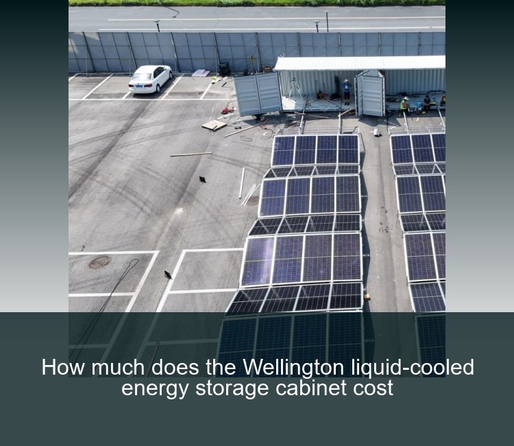 How much does the Wellington liquid-cooled energy storage cabinet cost