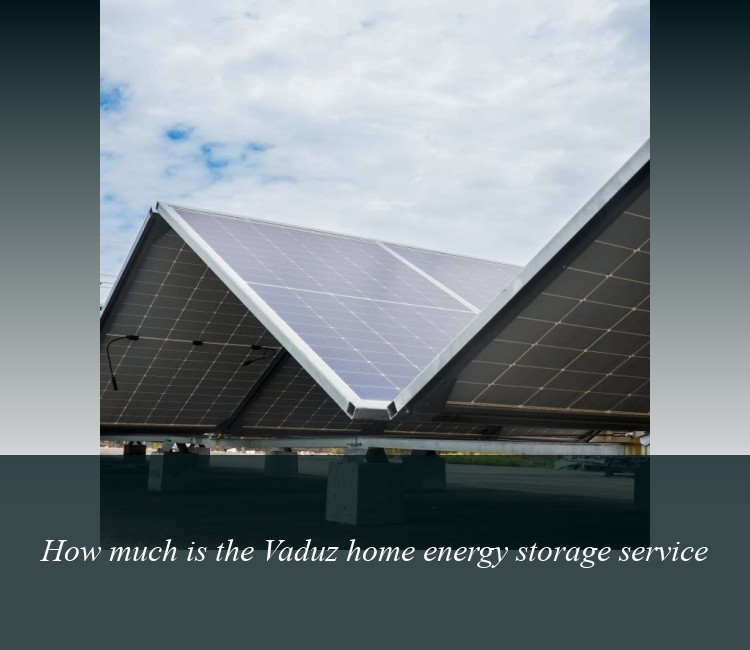 How much is the Vaduz home energy storage service