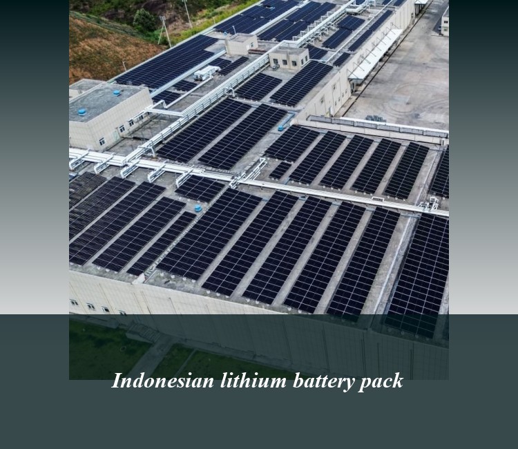 Indonesian lithium battery pack