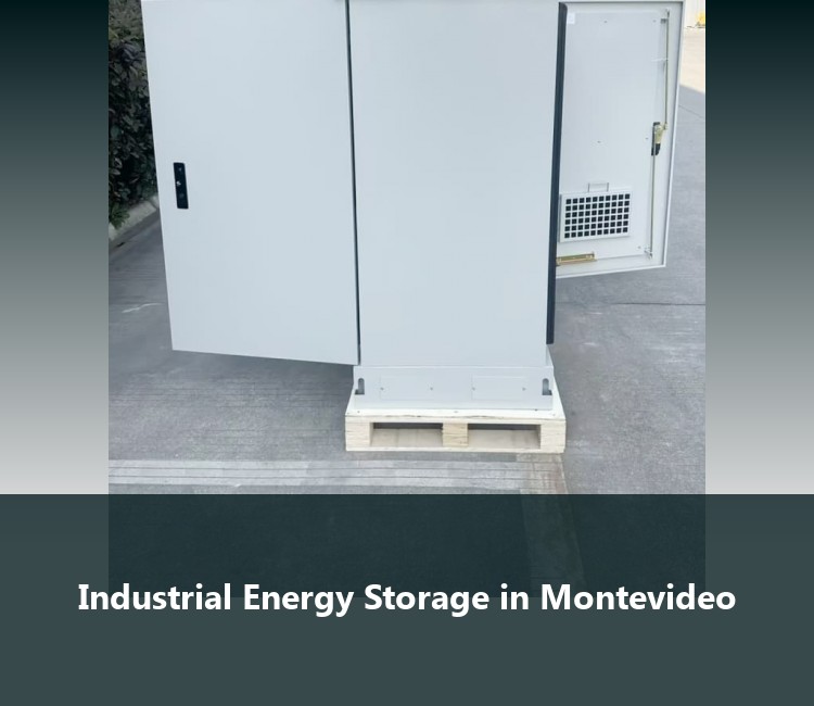 Industrial Energy Storage in Montevideo