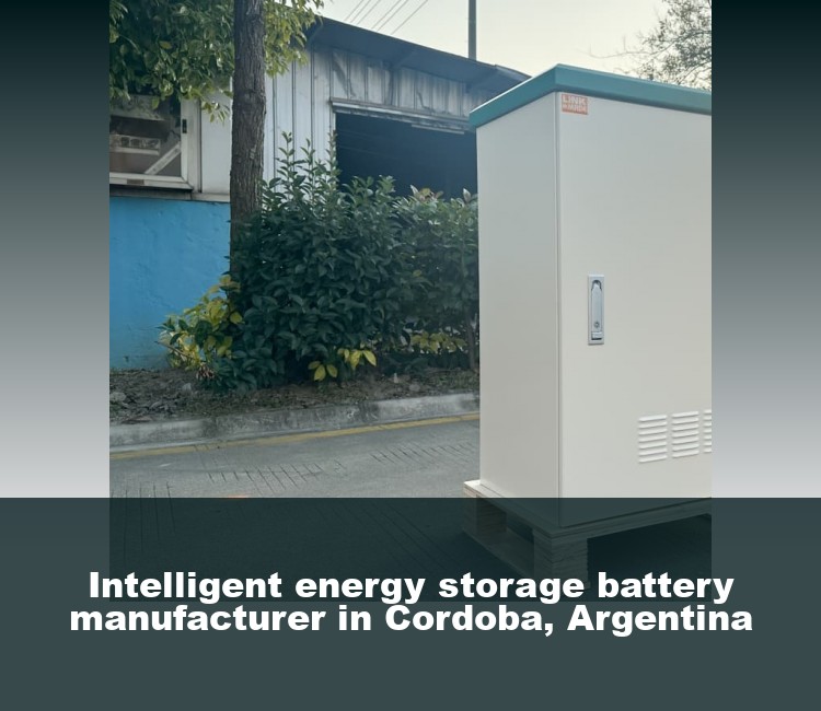 Intelligent energy storage battery manufacturer in Cordoba, Argentina
