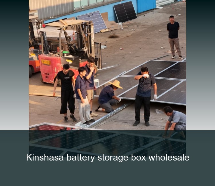 Kinshasa battery storage box wholesale
