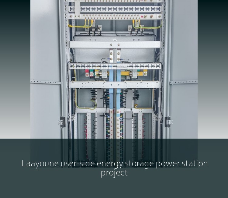 Laayoune user-side energy storage power station project