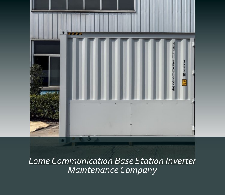 Lome Communication Base Station Inverter Maintenance Company