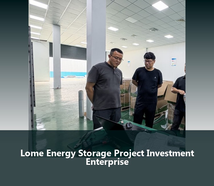Lome Energy Storage Project Investment Enterprise