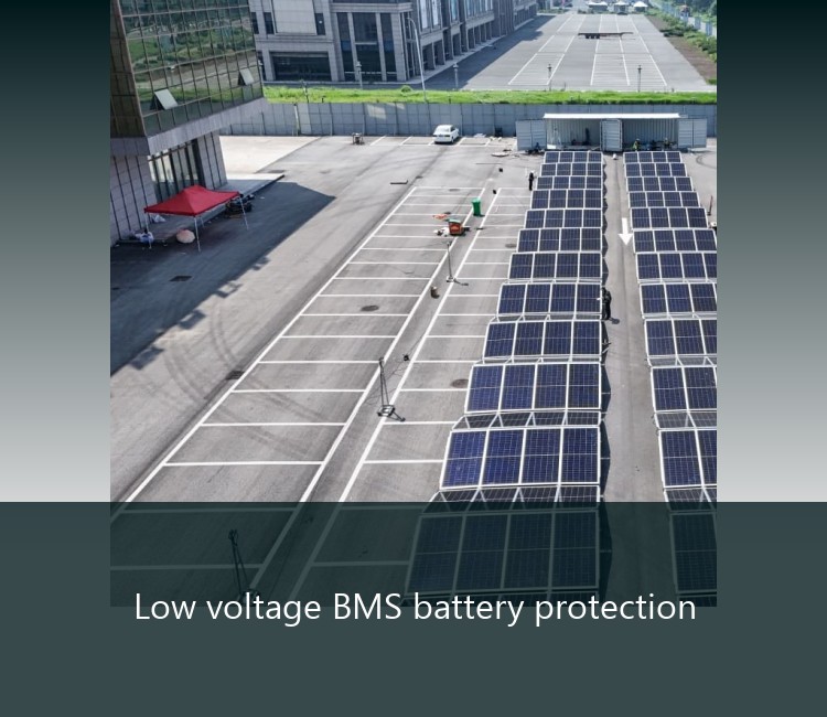 Low voltage BMS battery protection